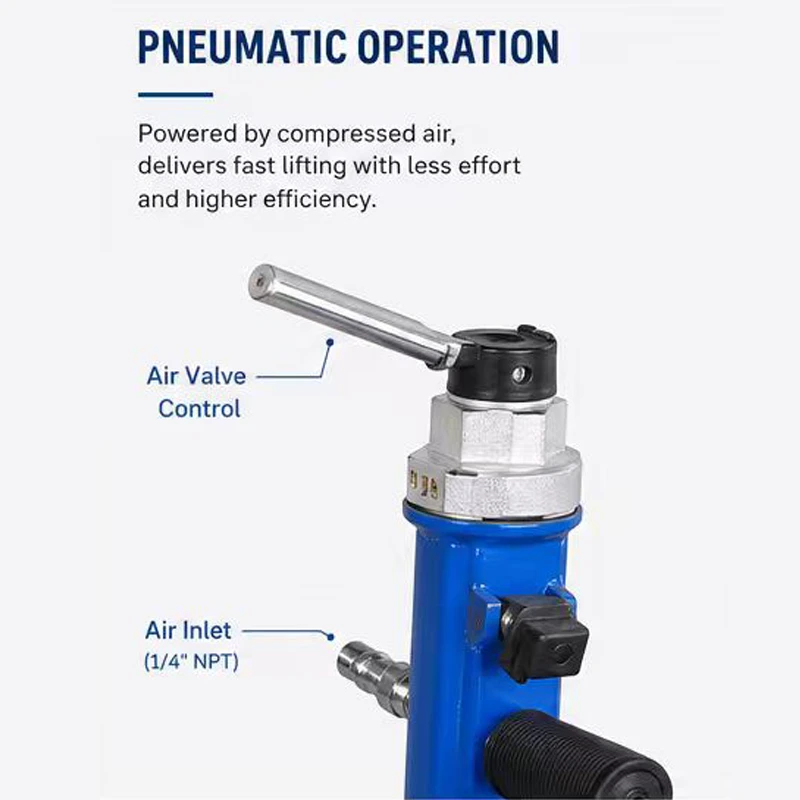 product-800-800